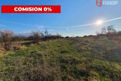 COMISION 0% Casa individuala cu teren de 3930 mp - Padureni - 15