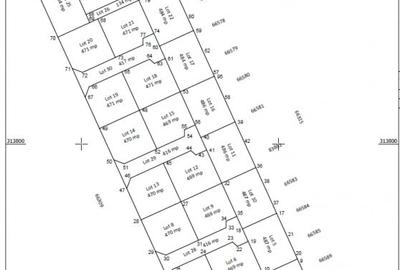 Teren Construcții intravilan de 469 mp, în Berceni - 5