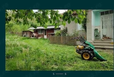 Casă cu 3 camere cu Teren 5000 Mp în Ceica - 4
