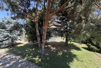Casa de vacanta la 200m de Dunare - 58