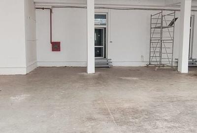 Hala industriala ,cu rampa-Astra - 3