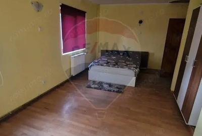Vila S+P+1E+M cu 7 camere de vanzare in TG. OCNA - 9