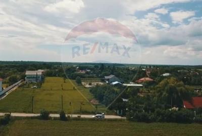 Vanzare teren Snagov - Izvorani, Strada Gradinarilor 48 - 1