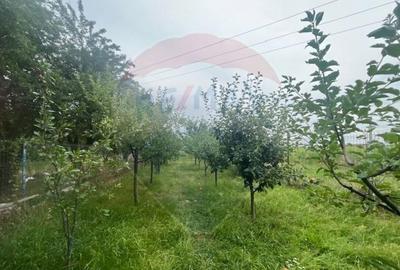 Casa de vanzare in Orlat cu 2200 mp teren parcelabil - 12