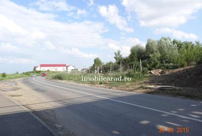 Teren construcție, în Sânnicolau Mic - 11