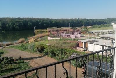 Branesti - Vila de vanzare - 6