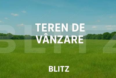 Teren de 6000 mp, în Curtești