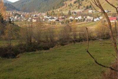 Teren comuna Carlibaba, jud. Suceava 8170mp - 1