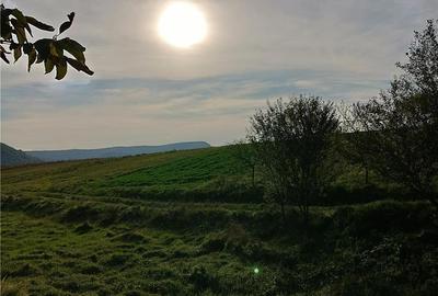 Teren în Peștere - 1