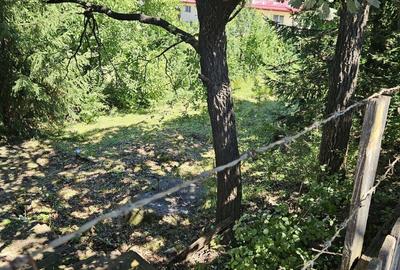 Casă cu 6 camere în Praid - 1