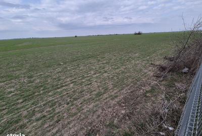 Teren de 13852 mp, în Domnești - 6