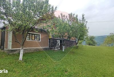 Casă cu 4 camere cu Teren 11769 Mp în Bulz - 13