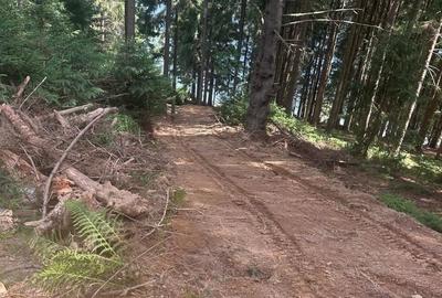 Spațiu comercial, în Beliș - 5