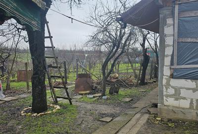 Casă individuală cu 5 camere cu Teren 1964 Mp în Vâlcelele - 8