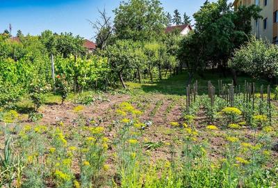 Casă cu Teren 17 Mp în Central - 9