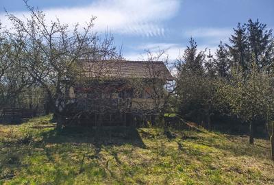 Teren extravilan de 2600 mp, în Budiului - 9