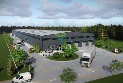 Teren de vanzare cu autorizatie pentru 2 hale - Otopeni - 10.000 mp - 8