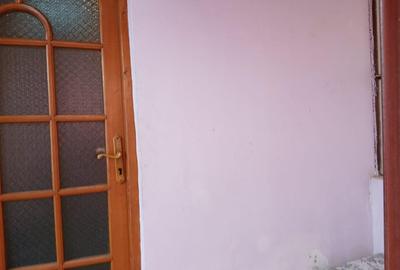 Garsonieră nedecomandată în Bălcescu - 10