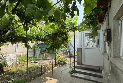 CASA DE VANZARE - INEL 1 - 3 CAMERE+ANEXE - - 5