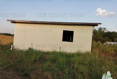 Adunatii Copaceni, teren 1212 mp, hala 136 mp, casa 37.5 mp cu pivnita 12 mp - 3