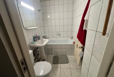 Apartament 1 camera Gara - Silvestru - 3