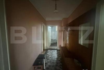 Casă cu 4 camere cu Teren 6197 Mp în Viile Satu Mare - 4
