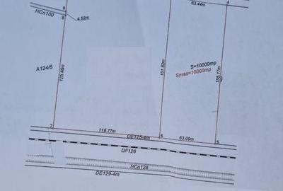 Mosnita Noua Teren 10.000mp | Front 63m | La asfalt - Zona de Case - 3