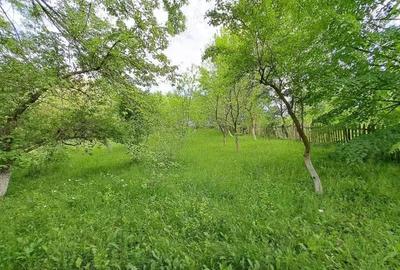 Teren de 1000 mp, în Ghioșești - 4