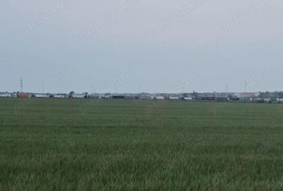 Vanzari terenuri in Lazu zona Logistik Park - 13
