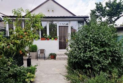 Casa cu suflet in centrul Medgidiei– gradina superba - 34