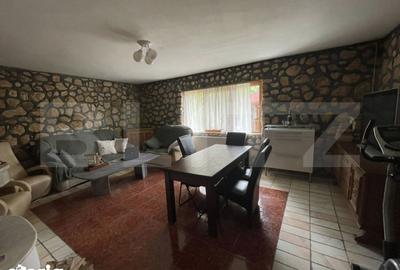 Spațiu comercial, de 450 mp, în Orăștioara de Sus - 9