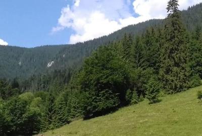 Spațiu comercial, în Dămuc - 2