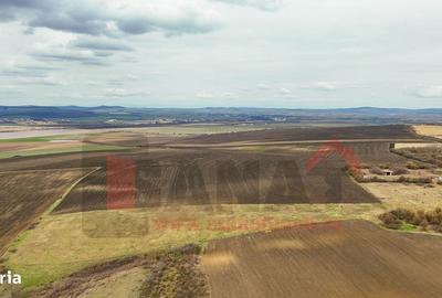 Spațiu comercial, în Șura Mică - 5