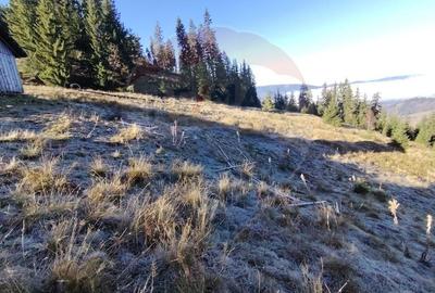 Teren extravilan de 31461 mp, în Panaci - 9