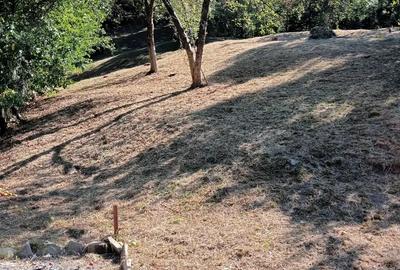 Vand casa -vila la Comarnic cu toate utilita?ile necesare. - 9