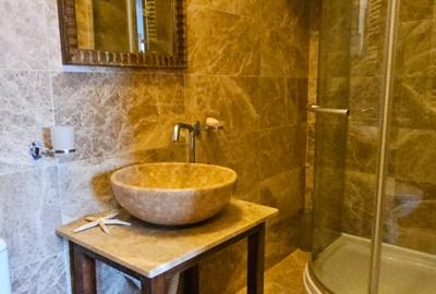 Domenii, apartament mobilat si utilat complet Domenii, apartament mobilat si utilat complet - 19