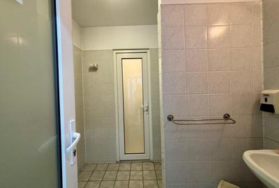 Vila  de inchiriat 11 camere  D+P+2 Timpuri noi 12 locuri de parcare 500 mp util - 25