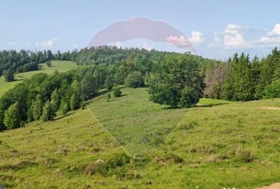 Teren de 128948 mp, în Munteni - 8