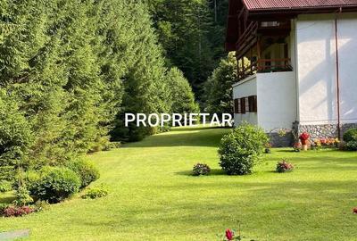 Casă cu Teren 4000 Mp în Central - 1