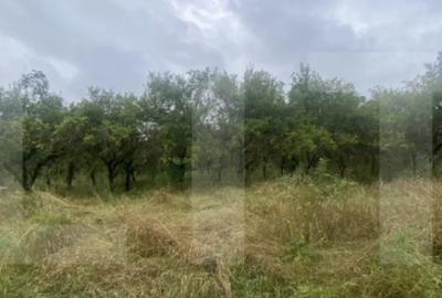 Teren de 5150 mp, în Simeria - 2