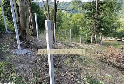 Teren de 2301 mp, în Provița de Jos - 2