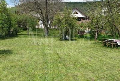 Teren intravilan pentru constructii de vanzare in Baciu - 2