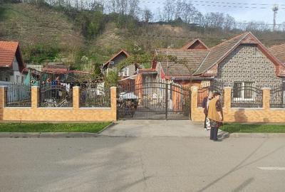 Casă cu 3 camere cu Teren 15 Mp în Viișoara - 1