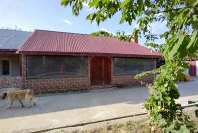 Casă cu 2 camere în Zimnicea - 6