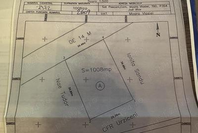 Vanzare teren casa la padure Moara Vlasiei - 3