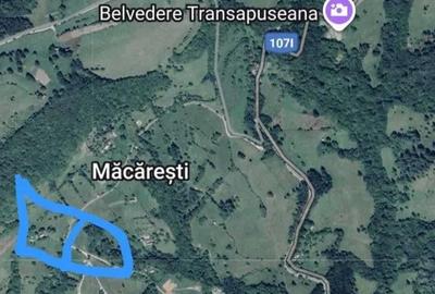 2 parcele de 4265 mp/2804 mp extravilan Transapuseana, sat Macaresti - 5