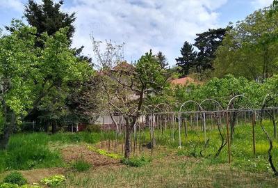 Casă cu 4 camere cu Teren 2200 Mp în Cuvin - 8