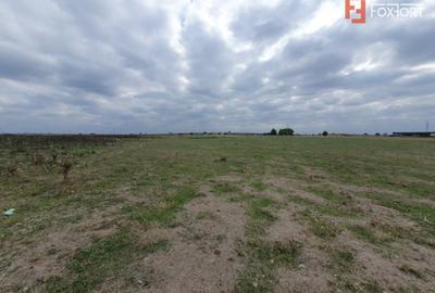 Teren Construcții intravilan de 1255 mp, în Giroc - 9