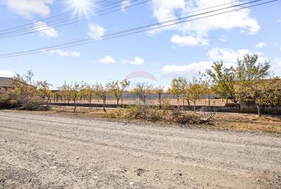 Teren Construcții intravilan de 334 mp, în Șofronea - 1