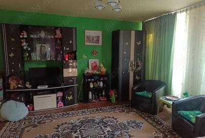 Casa de vanzare Bozovici - 4